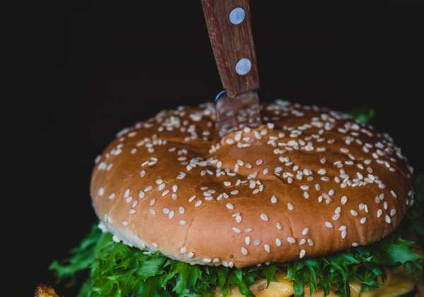 French 'veggie burger' ban goes against tradition of culinary innovation | INFBusiness.com