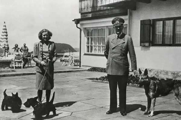 How Puppies and Kittens Feature in National Socialist Propaganda | INFBusiness.com