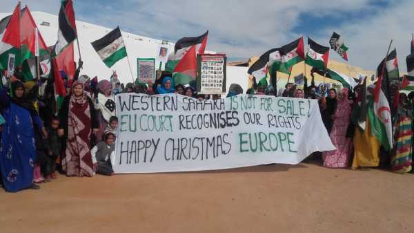 How EU should use economic influence on Western Sahara | INFBusiness.com