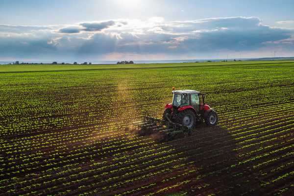 Will the Fortunes of Farmers Change in America? | INFBusiness.com