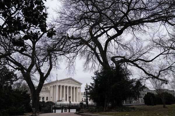 Climate Activist Dies After Setting Himself on Fire at Supreme Court | INFBusiness.com