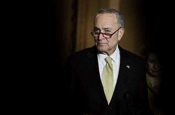 How Chuck Schumer Avoided a Primary Challenge From the Left | INFBusiness.com