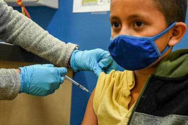 Vaccines for young children are being delayed by incomplete data, a top F.D.A. official suggests. | INFBusiness.com