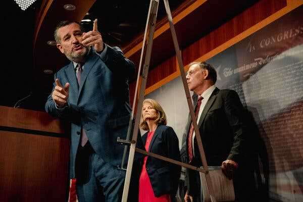 Group Seeks Disbarment of Ted Cruz Over Efforts to Overturn 2020 Election | INFBusiness.com