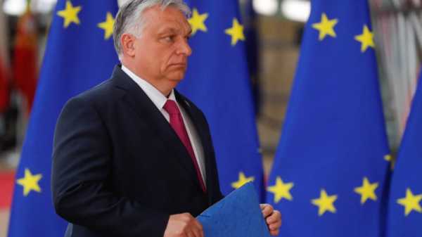 EU’s compromise with Orbán over the Russian oil ban/why monkeypox isn’t the end of the world | INFBusiness.com