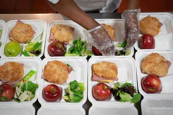 Congress Clears Bill to Extend Free Meals for Children Through the Summer | INFBusiness.com