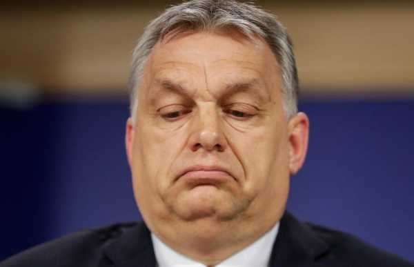 In Dallas, Orbán urges US conservatives to join forces in 2024 elections | INFBusiness.com