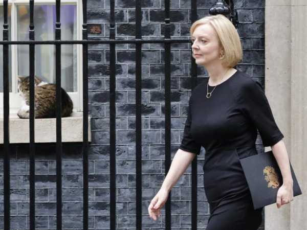 Who will replace Truss as UK prime minister? Sunak? Mordaunt? Johnson? | INFBusiness.com