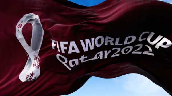 FIFA World Cup: Dutch interest in Qatar matches very low | INFBusiness.com