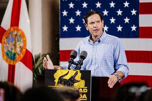 Rubio Is Re-elected to Senate, Defeating Demings in Florida | INFBusiness.com