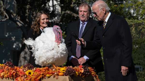 ‘No Fowl Play’: Biden Pardons a Pair of Thanksgiving Turkeys | INFBusiness.com