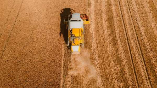 Finland plans to increase grain stocks amid food security concerns | INFBusiness.com