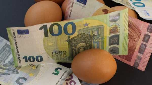 Report: Croatians consume most expensive eggs in EU | INFBusiness.com