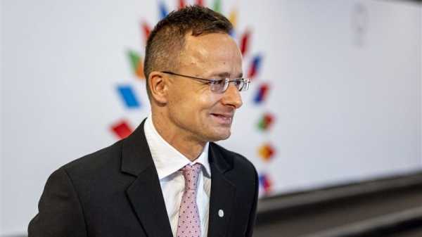 Hungarian FM only minister missing in support Ukraine video | INFBusiness.com
