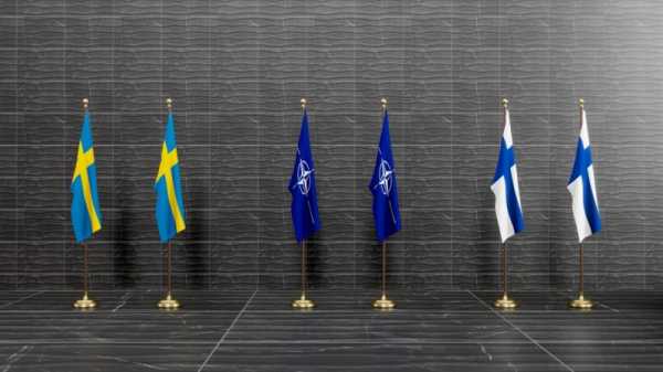 Finland denies rumours of joining NATO without Sweden | INFBusiness.com