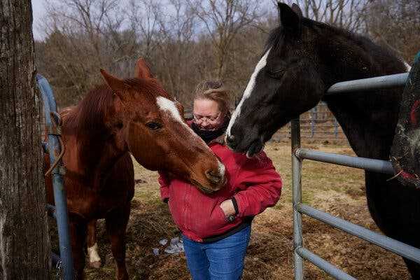 After Chemical Burn, Farm Owners Worry About a Cherished Way of Life | INFBusiness.com