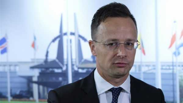 Hungarian FM says Sweden should act ‘differently’ to join NATO | INFBusiness.com