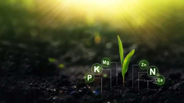 Berlin vows to help Kenya boost climate-neutral fertilisers | INFBusiness.com