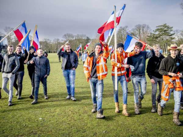 Dutch farmers’ protest party scores big election win, shaking up Senate | INFBusiness.com