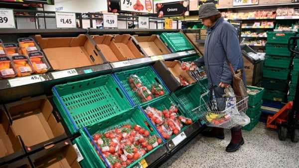 Britain’s fresh produce shortages serve up blame game | INFBusiness.com