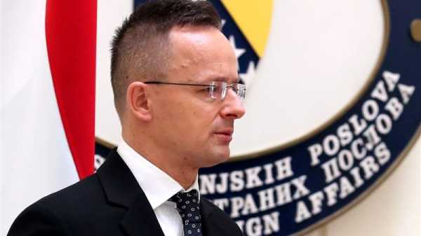 Hungarian FM slams Russia sanctions, vows to shield Bosnia’s Dodik | INFBusiness.com