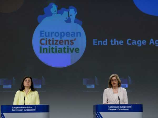 Crowdsourcing citizens’ ideas can benefit EU policy cycle, experts say | INFBusiness.com