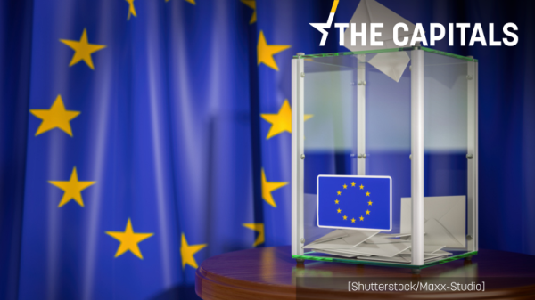 MEP: Spitzenkandidat idea slowly fading away | INFBusiness.com