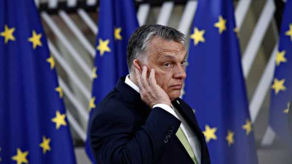 15 EU countries sue Orbán’s government in Hungary | INFBusiness.com