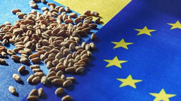 Visegrad farmers ask EU to reintroduce tariffs on Ukrainian grain | INFBusiness.com
