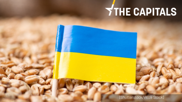 Bulgaria mulls ban on Ukrainian grain as EU slams Poland, Hungary | INFBusiness.com