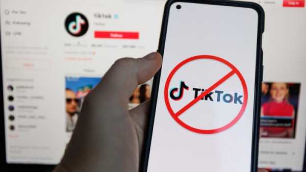 Albania mulls banning TikTok in public institutions | INFBusiness.com