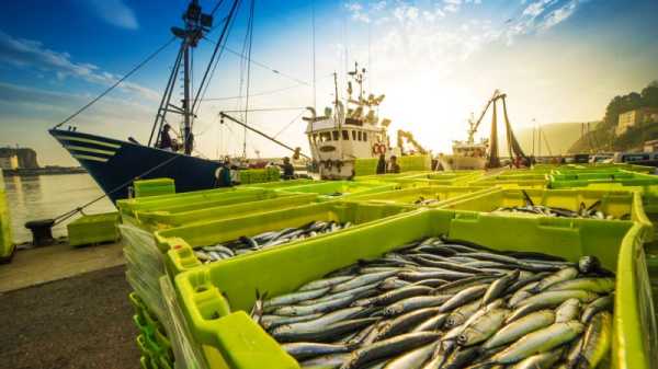 Portuguese government approves Ukraine compensation scheme for fisheries | INFBusiness.com