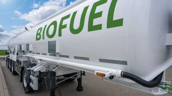 Italian MP slams EU plan on e-fuel combustion cars, regrets treatment of biofuels | INFBusiness.com