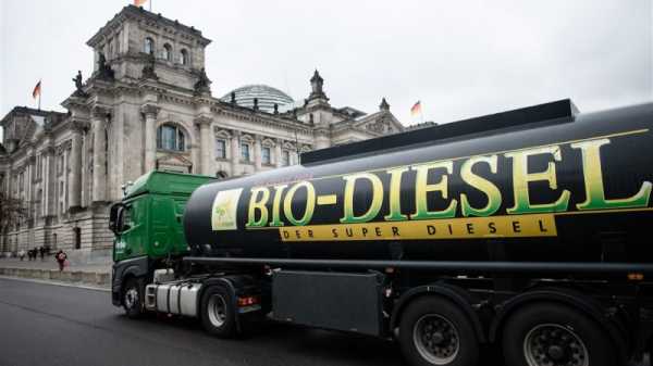 Eat less meat, we need space for biofuels, German producer says | INFBusiness.com