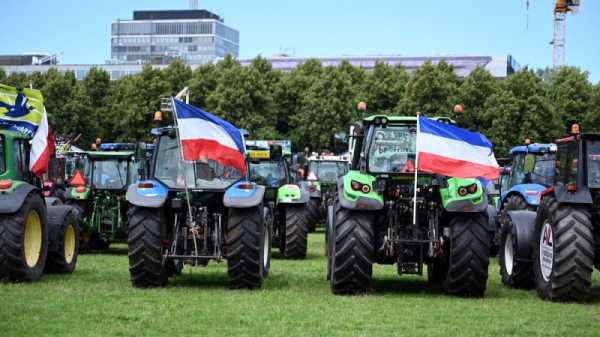 Cracks appear in Dutch opposition over nitrogen transition fund | INFBusiness.com