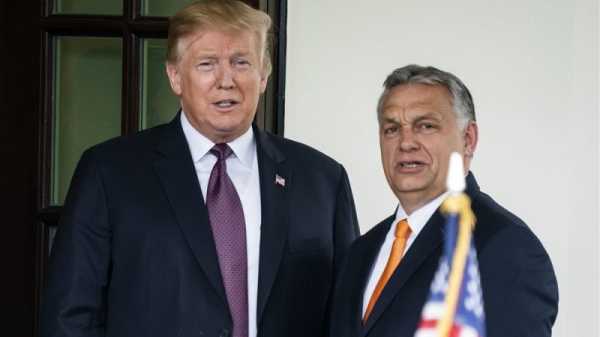 Orban to Trump: ‘Keep fighting, Mr President! We are with you’ | INFBusiness.com