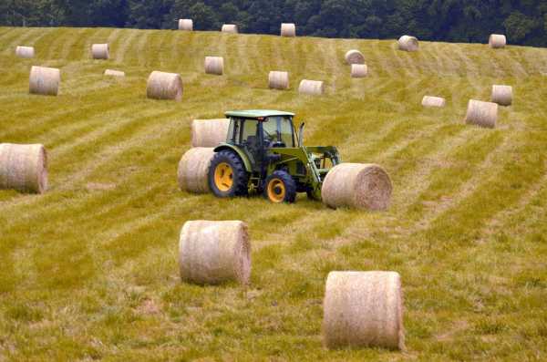 EU needs land reform to stop Big Agri swallowing up small farms | INFBusiness.com
