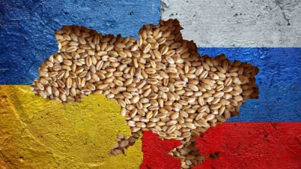 Polish politicians bicker over grain crisis | INFBusiness.com