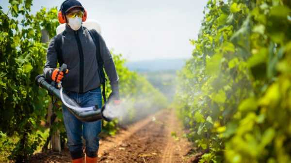 Slovenia lobbies to tone down EU pesticide plans | INFBusiness.com