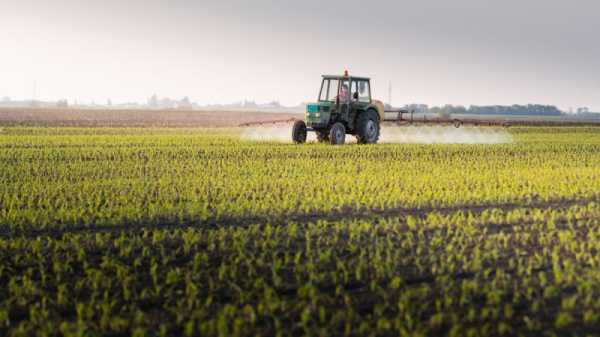 Slovakia bans Ukrainian grain imports after finding unauthorised pesticide | INFBusiness.com
