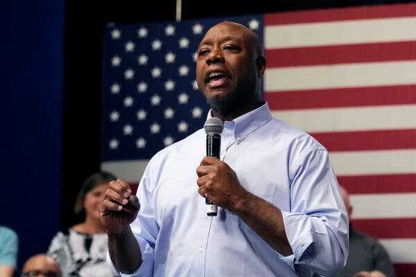 Tim Scott Is Set to Join 2024 Race, Already Flush With Campaign Cash | INFBusiness.com