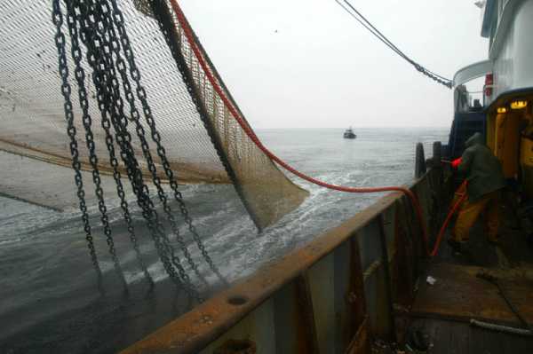 Want to stop forced migration from West Africa? Start by banning bottom trawling