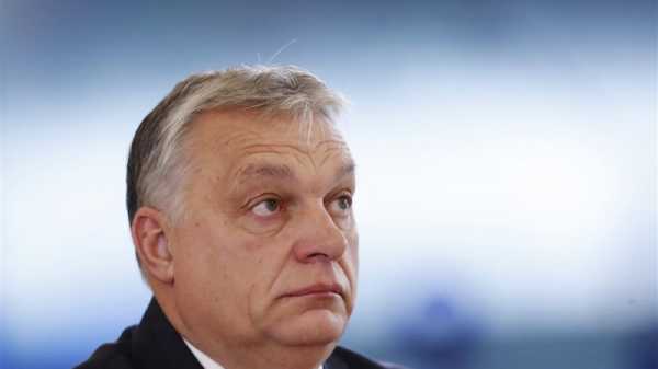 Hungary ‘unfit’ to hold EU presidency, warn MEPs | INFBusiness.com