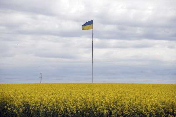 Ukraine must reduce role of state in the economy to boost EU integration | INFBusiness.com