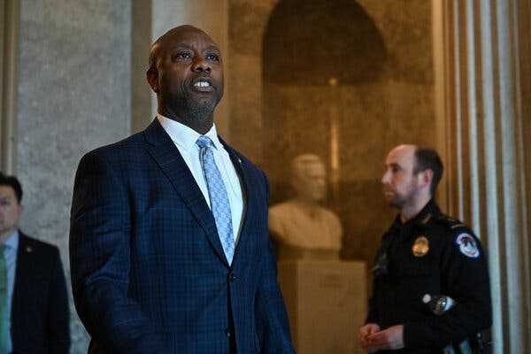 Tim Scott Defends Remarks on Race on ‘The View’ | INFBusiness.com