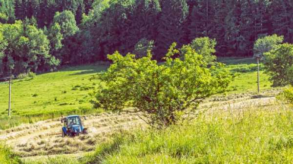 First year of EU’s CAP reforms created unprecedented space for nature in Slovakia | INFBusiness.com