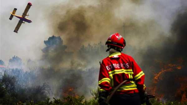 Portugal among most affected by wildfires in 2022 | INFBusiness.com