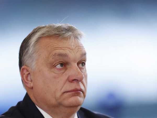 MEPs condemn Hungary but diplomats play down threat to EU presidency | INFBusiness.com