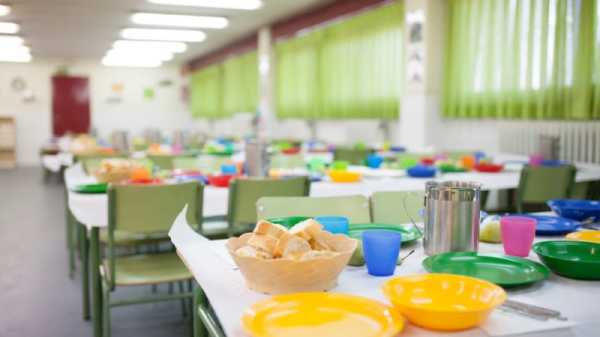 Slovenia’s primary schools to soon offer free meals for low-income children | INFBusiness.com