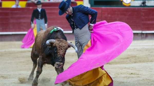 PP-Vox Valencia government gives pro-Franco ex-bullfighter top job | INFBusiness.com
